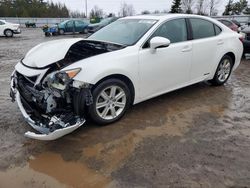 Salvage cars for sale from Copart Ontario Auction, ON: 2014 Lexus ES 300H
