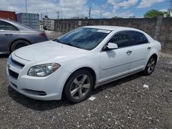 Salvage cars for sale at Homestead, FL auction: 2012 Chevrolet Malibu 1LT