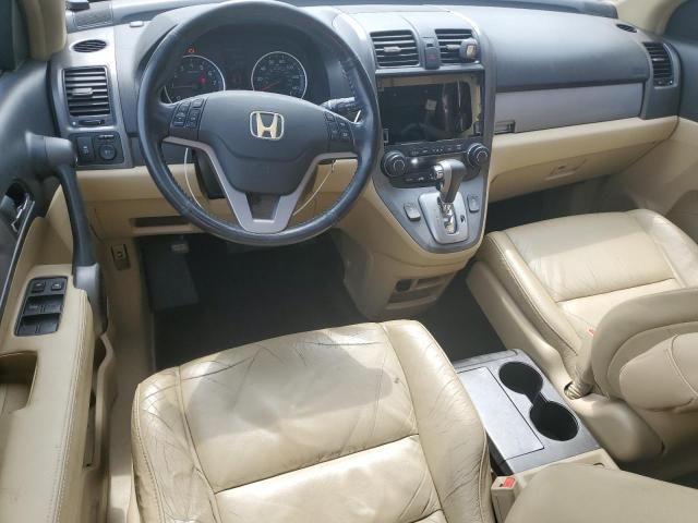 2010 Honda CR-V EXL