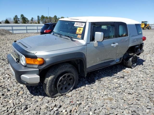 2009 Toyota FJ Cruiser