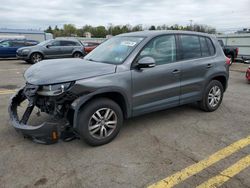 Salvage cars for sale at Pennsburg, PA auction: 2013 Volkswagen Tiguan S