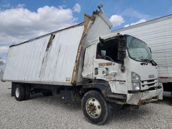 Isuzu FTR Vehiculos salvage en venta: 2020 Isuzu FTR