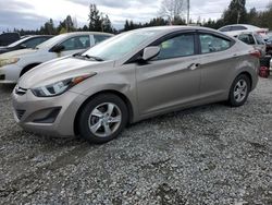 Salvage cars for sale from Copart Graham, WA: 2014 Hyundai Elantra SE