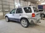 2007 Ford Escape XLT