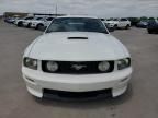 2007 Ford Mustang GT