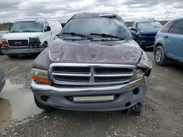 2004 Dodge Dakota Quad SLT