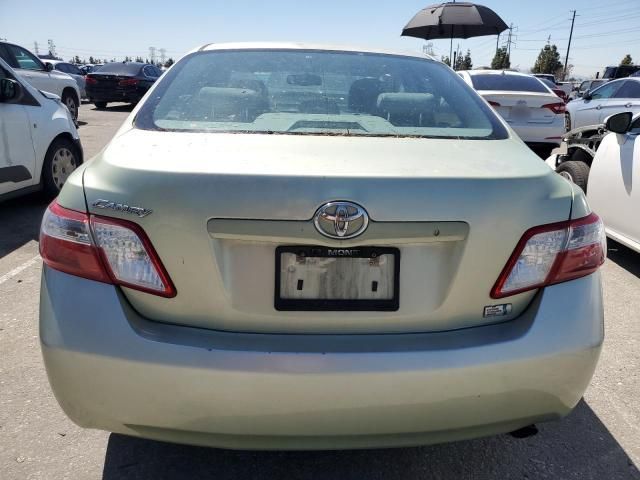 2008 Toyota Camry Hybrid