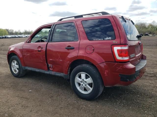 2010 Ford Escape XLT