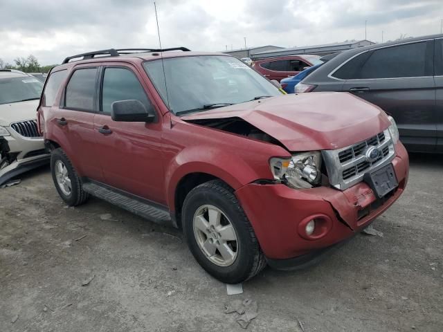 2012 Ford Escape XLT