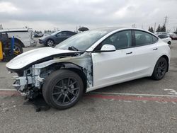 2023 Tesla Model 3 en venta en Rancho Cucamonga, CA