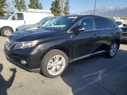 Lexus RX450 salvage cars for sale: 2011 Lexus RX 450