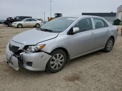 Salvage cars for sale from Copart Nisku, AB: 2009 Toyota Corolla Base