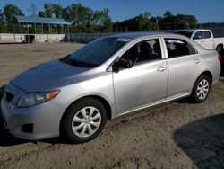 Toyota salvage cars for sale: 2010 Toyota Corolla Base