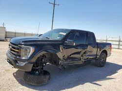 Salvage cars for sale from Copart Andrews, TX: 2023 Ford F150 Supercrew