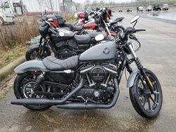 Harley-Davidson XL883 N Vehiculos salvage en venta: 2022 Harley-Davidson XL883 N