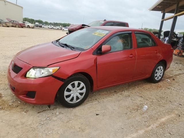 2010 Toyota Corolla Base