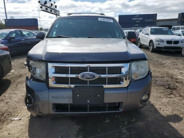 2010 Ford Escape XLT