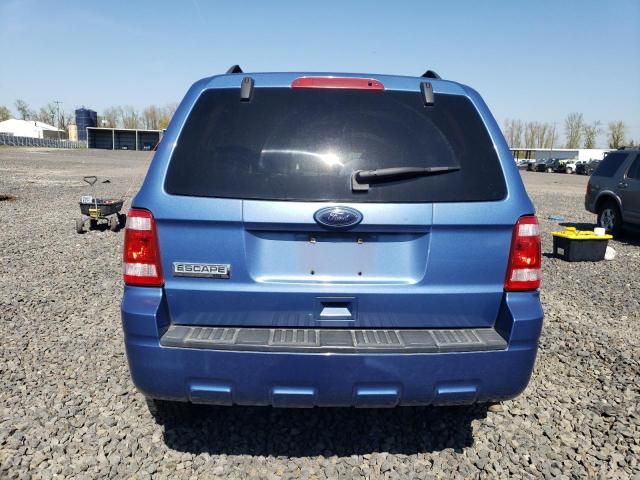 2010 Ford Escape XLT