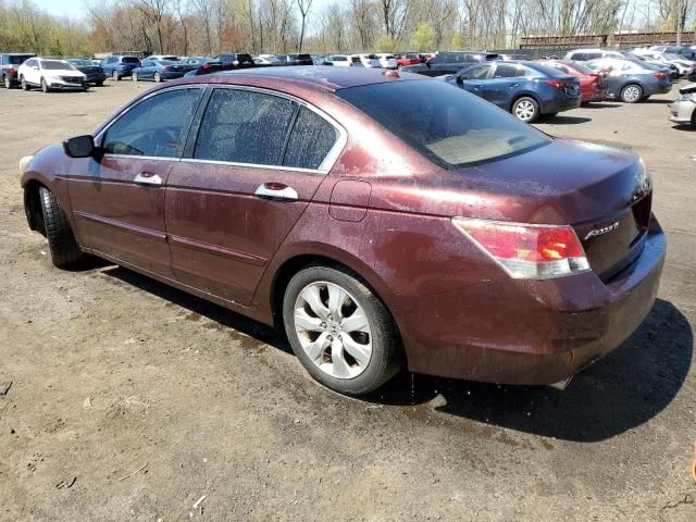 2010 Honda Accord EXL