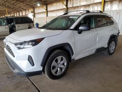 Salvage cars for sale at Phoenix, AZ auction: 2021 Toyota Rav4 LE