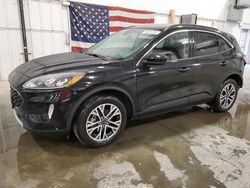Salvage cars for sale from Copart Avon, MN: 2020 Ford Escape SEL