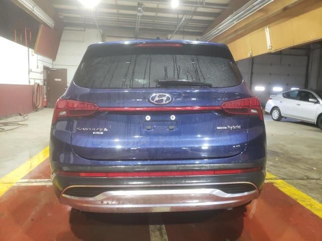 2023 Hyundai Santa FE Blue