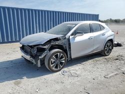 Salvage cars for sale from Copart Arcadia, FL: 2024 Lexus UX 250H Premium