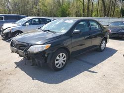 Toyota Corolla salvage cars for sale: 2013 Toyota Corolla Base