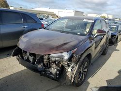 Salvage cars for sale at Martinez, CA auction: 2019 Lexus NX 300 Base