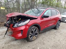 Salvage cars for sale from Copart Cicero, IN: 2022 Ford Escape SE