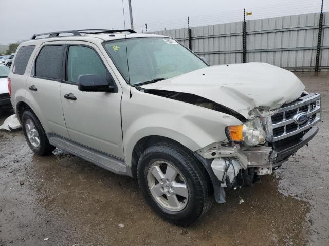 2009 Ford Escape XLT