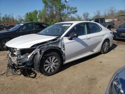 Salvage cars for sale at Baltimore, MD auction: 2020 Toyota Camry LE