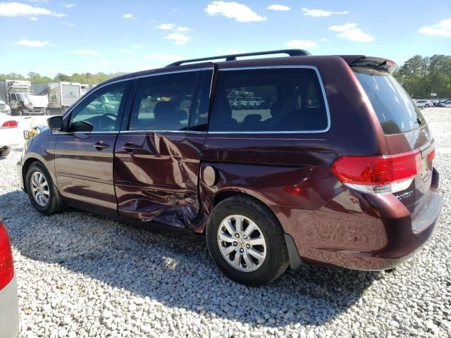 2008 Honda Odyssey EXL