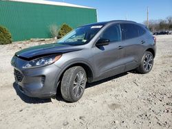 Salvage cars for sale at Candia, NH auction: 2021 Ford Escape SE