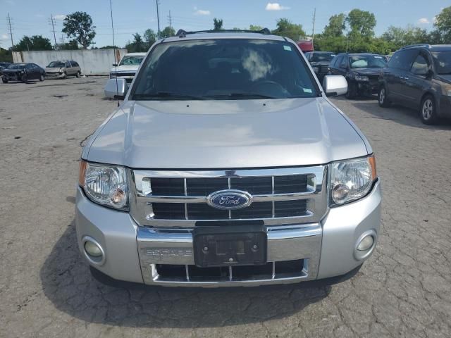 2011 Ford Escape Limited