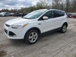 Salvage cars for sale from Copart Ellwood City, PA: 2016 Ford Escape SE