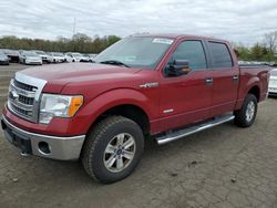 Salvage cars for sale at New Britain, CT auction: 2013 Ford F150 Supercrew