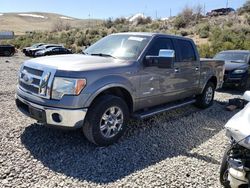 Salvage cars for sale from Copart Reno, NV: 2011 Ford F150 Supercrew