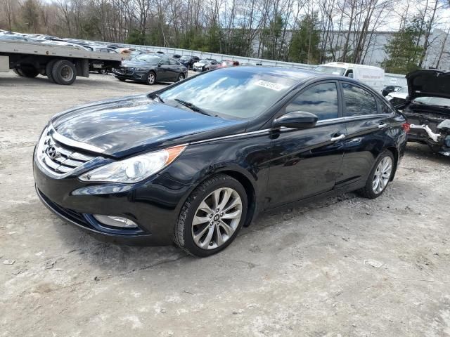 2013 Hyundai Sonata SE