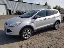 Salvage cars for sale at Portland, OR auction: 2013 Ford Escape SEL