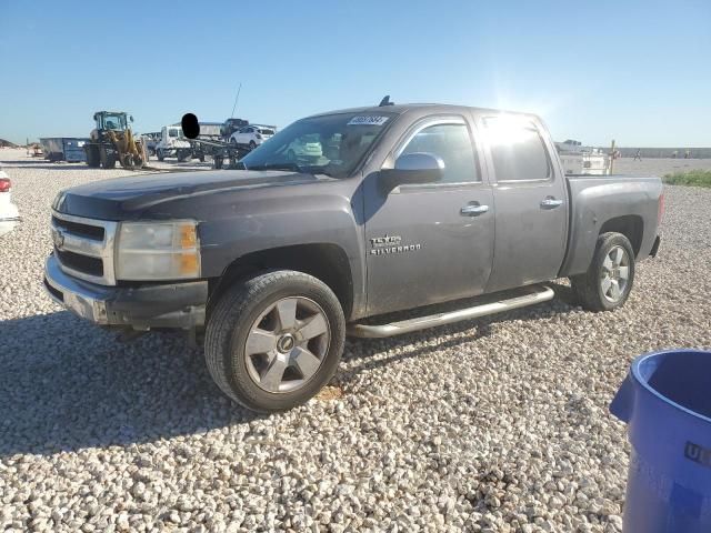 2010 Chevrolet Silverado C1500 LT