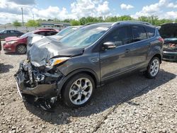 2015 Ford Escape Titanium en venta en Louisville, KY