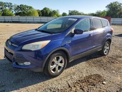 Salvage cars for sale at Theodore, AL auction: 2013 Ford Escape SE