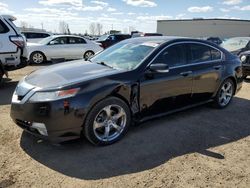 Salvage cars for sale from Copart Rocky View County, AB: 2009 Acura TL