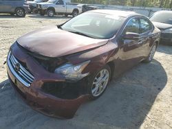 Salvage cars for sale at Seaford, DE auction: 2012 Nissan Maxima S