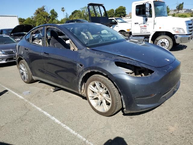 2020 Tesla Model Y