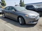 2013 Ford Fusion SE Phev