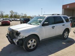 Salvage cars for sale at Fort Wayne, IN auction: 2011 Ford Escape XLT