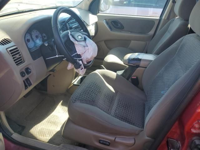 2003 Ford Escape XLT