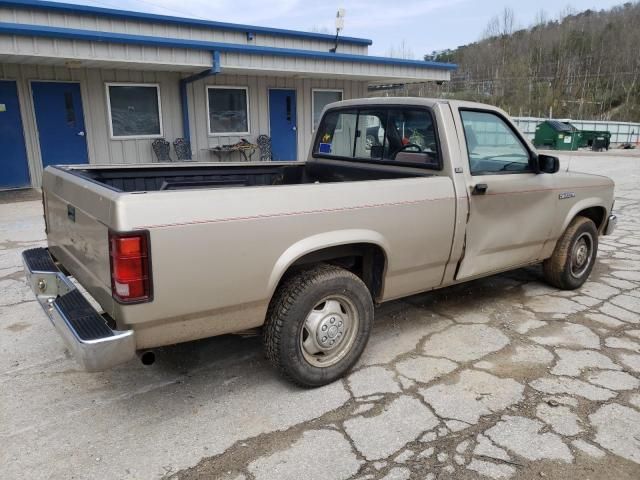 1993 Dodge Dakota